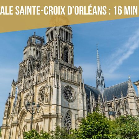 אורליאן Le St Paterne, Hyper Centre, 3 Chambres Tt Confort מראה חיצוני תמונה